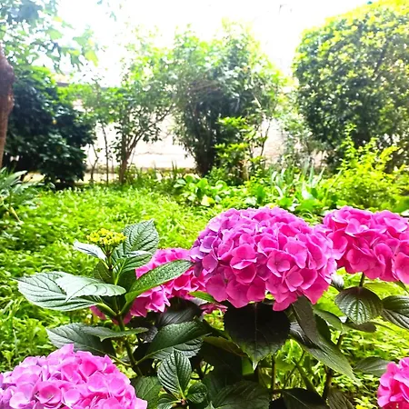 Dream Con Giardino Appartement Trieste