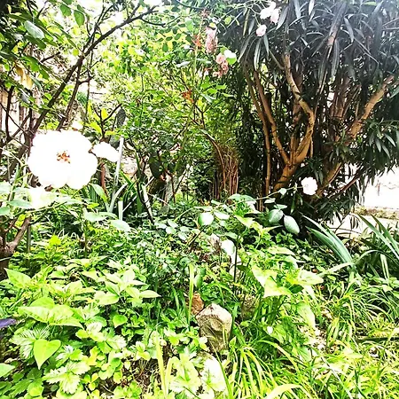 Dream Con Giardino شقة