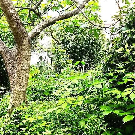 شقة Dream Con Giardino *