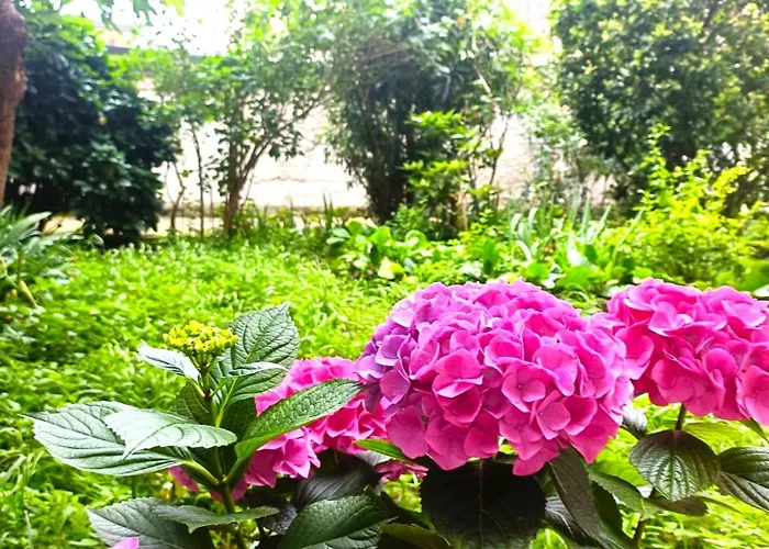 Dream Con Giardino Apartamento Trieste