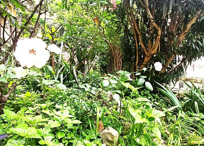 Dream Con Giardino Apartamento